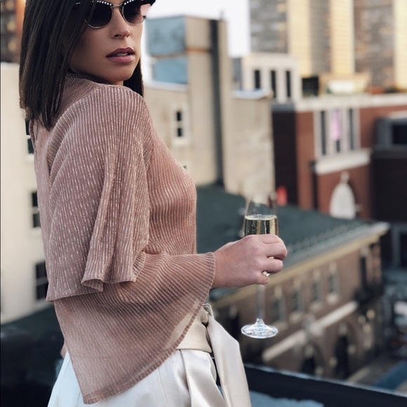 🆕Mara Sheer Rose Gold Bell Sleeve Top - Picture 2 of 8